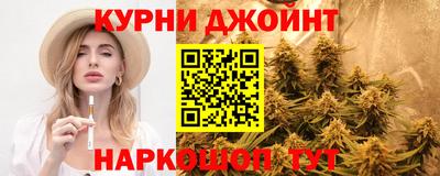 гашик Кулебаки