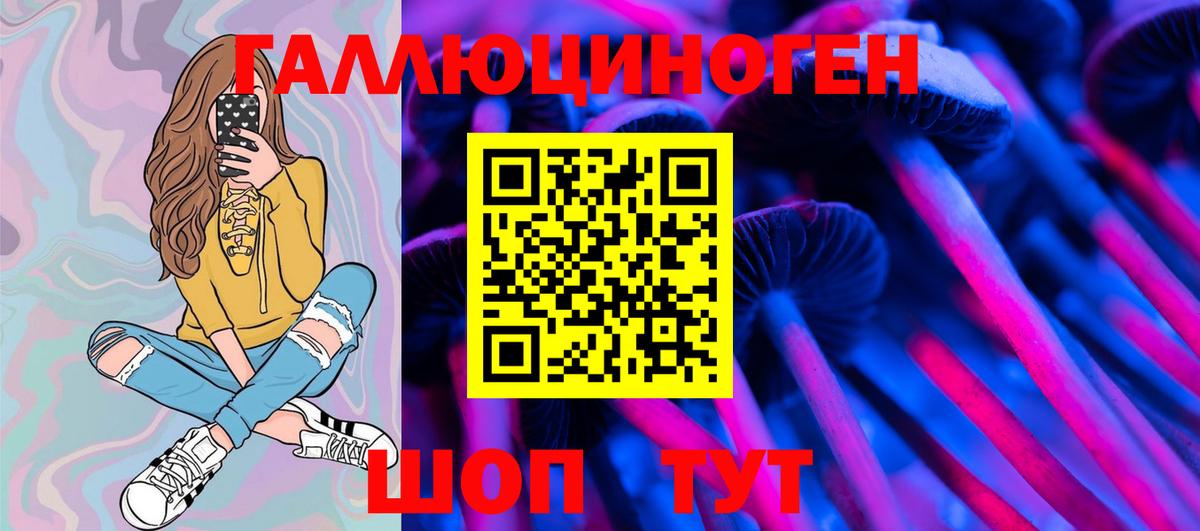 Псилоцибиновые грибы GOLDEN TEACHER  Вход с VPN  Киреевск  Псилоцибиновые грибы Psilocybe 