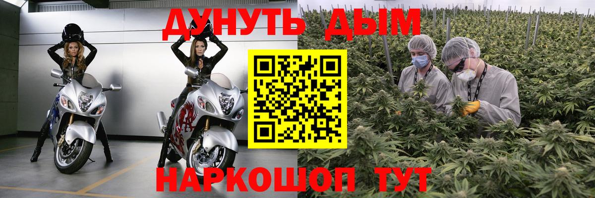 МАРИХУАНА семена  МАРИХУАНА гибрид  Киреевск  Канабис ГИДРОПОН  Канабис Ganja  Вход с VPN 