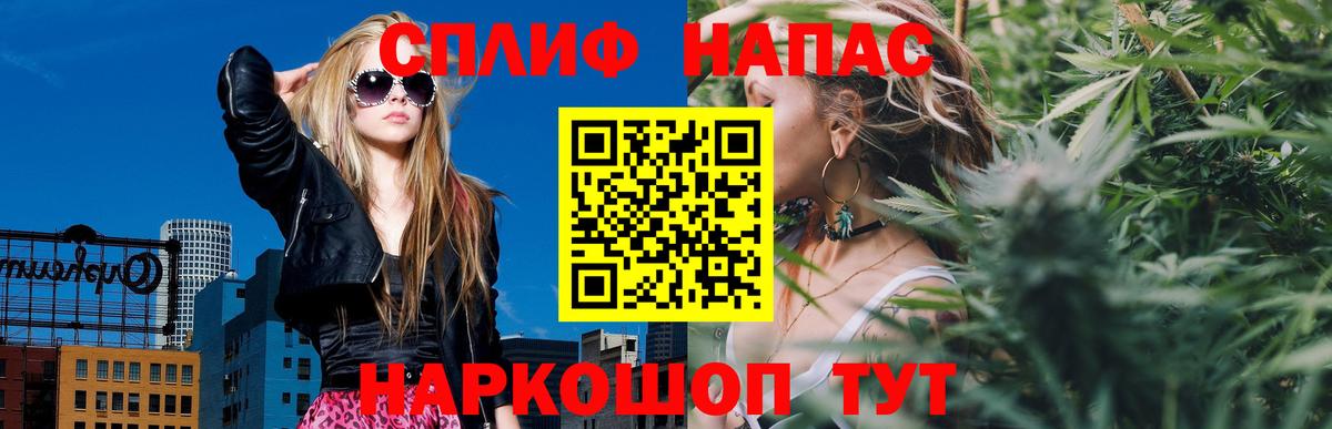 Бошки Шишки планчик Киреевск